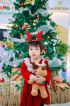 Merry Christmas 2024 - Ghi dấu mùa Giáng sinh an lành Hoa Trạng Nguyên